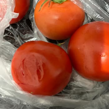 Migros'tan Siparişlerimde Domatesler Sürekli Ezilmiş Geliyor