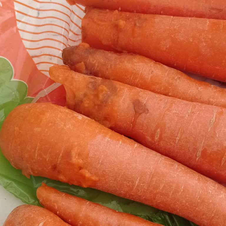 Teslim Edilen Havuçlar Çürük Ve Ezilmiş, Şikayetim Cevapsız Kaldı