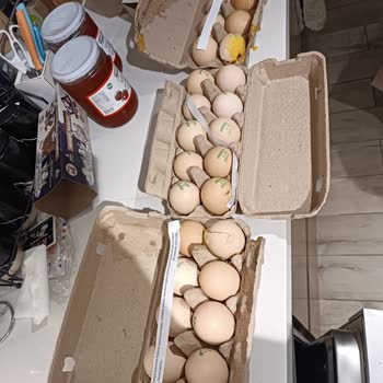 Kırık Yumurtalar Ve Bulaşan Muzlar İçin İade Reddi Mağduriyeti