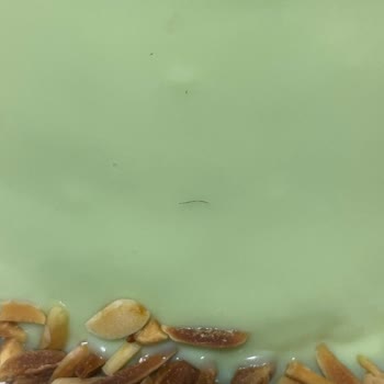 Aldığım Pastadan Kıl Ve Kirpik Çıktı Hijyen Konusunda Endişeliyim