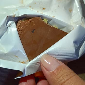 Aldığım Çikolatada Ambalaja Yapışmış Karınca Buldum, Sağlık Riski Yaşadık