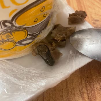 Kelle Paça Çorbasında Kıl Çıktı Hijyen Ve Çözüm Yok