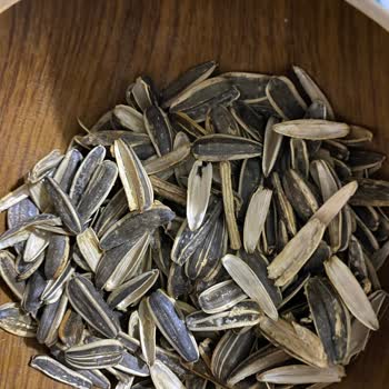 Aldığım Çekirdeklerin Çoğu Boş Çıktı Nedenini Öğrenmek İstiyorum