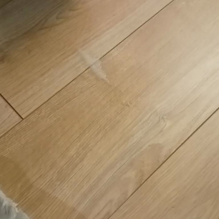 Philips Dikey Süpürge Yerde Su Bırakıyor Temizlik Performansı Düşüyor