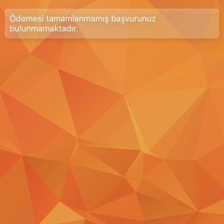 ÖSYM Ek Tercih Başvurusu Sırasında Ödeme Hatası Nedeniyle Mağduriyet Yaşadım