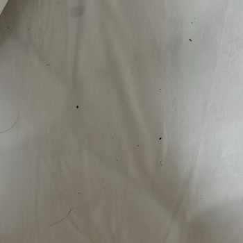 Kötü Hijyen Ve Kullanılamaz Oda Nedeniyle Ücret İadesi Talebi