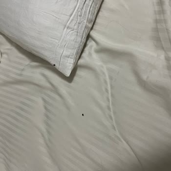 Kötü Hijyen Ve Kullanılamaz Oda Nedeniyle Ücret İadesi Talebi