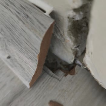 Eksik ve Kalitesiz Parke Hizmeti Sonrası Devam Eden Mağduriyet