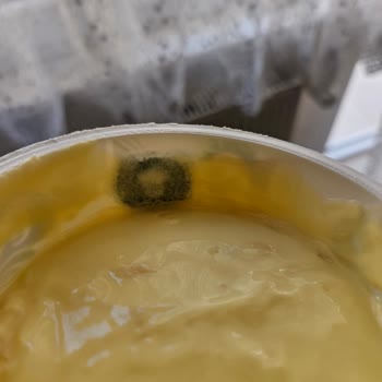 Taze Alınan Yoğurtta Küf Şoku: Güvenim Sarsıldı