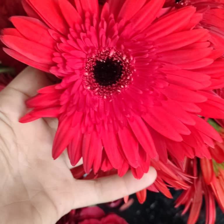 Siparişimde Son Dakika Değişiklikler Ve Eksik Teslimat Mağduriyeti Yaşadım