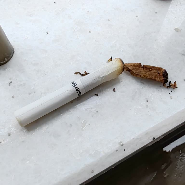 Sigara Paketinden Odun Parçası Çıkması Hayal Kırıklığı Yarattı