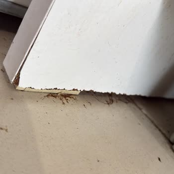 Karabük Belenköy TOKİ Konutları Şikayetim