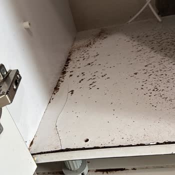 Karabük Belenköy TOKİ Konutları Şikayetim