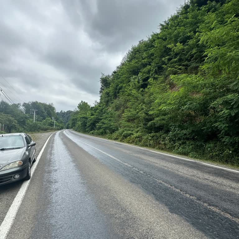 Tabelasız Yolda Haksız Ceza Ve İşaret Eksikliği Mağduriyeti