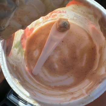 Küflü Yoğurt Yüzünden Tatil Zehir Oldu, Çözüm Sunulmadı!