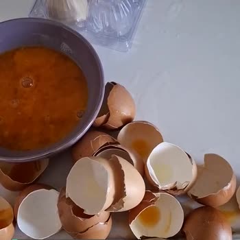 Şok Bozuk Yumurta