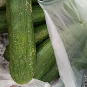 Cepte Şok'tan Gelen Bozuk Ürünler Ve Yetersiz Müşteri Hizmeti