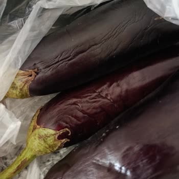 Cepte Şok'tan Gelen Bozuk Ürünler Ve Yetersiz Müşteri Hizmeti