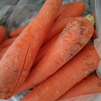 Cepte Şok'tan Gelen Bozuk Ürünler Ve Yetersiz Müşteri Hizmeti