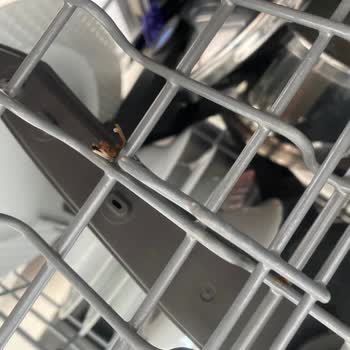 LG Bulaşık Makinesinde Paslanan Sepet Ve Çürüyen Lastik Sorunu