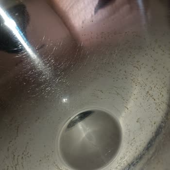 Paslanmaz Çelik Çırpma Kasesinin Paslanması Ve Yetersiz Müşteri Hizmeti