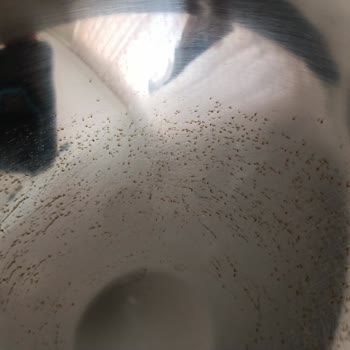 Paslanmaz Çelik Çırpma Kasesinin Paslanması Ve Yetersiz Müşteri Hizmeti