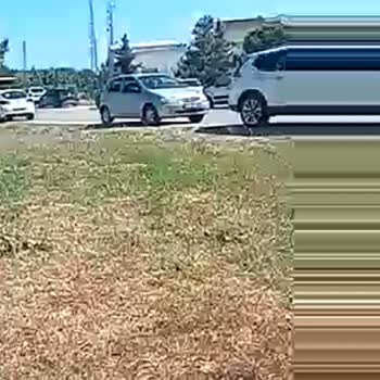 Şikayetvar Platformunda Oluşturulan Şikayet Görünmüyor Ve Kayıt Bulunamıyor