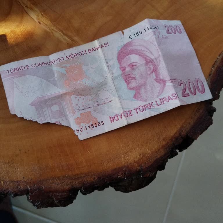 Ziraat Bankası Yırtık Banknotun Değişimi İçin Bankalar Arasında Mağduriyet Yaşadım