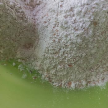 Aldığım Un Paketlerinde Böcek Çıktı, Fişsiz İade Kabul Edilmedi