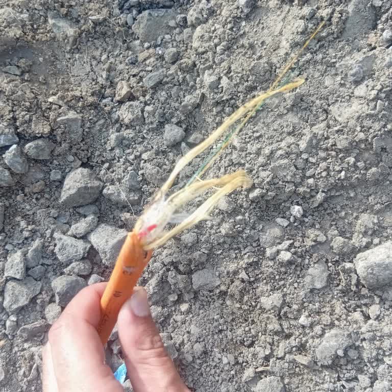 Üç Gündür Bağlanmayan Kopuk Fiber Kablo Mağduriyeti