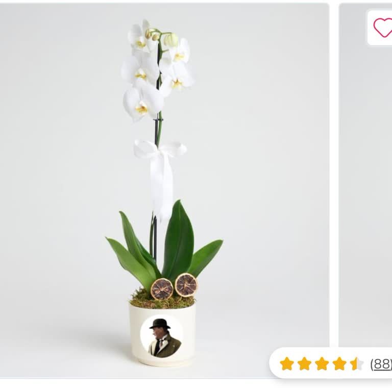 Siparişimde Solmuş Ve Yanlış Ürün Gönderildi, Mağdur Oldum