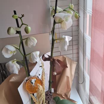 Siparişim Görselden Farklı Ve Eksik Geldi