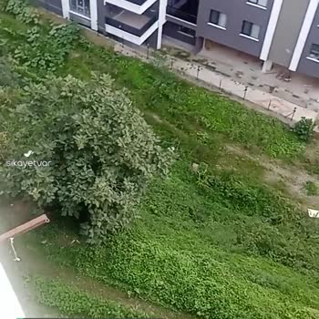 Ulaştırma Bakanlığı Giresun Merkezde Yol Sorunu!