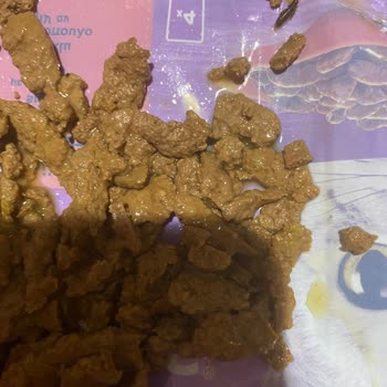 Yeni Alınan Whiskas Mama Paketinde Kötü Koku Ve Böcek Çıktı