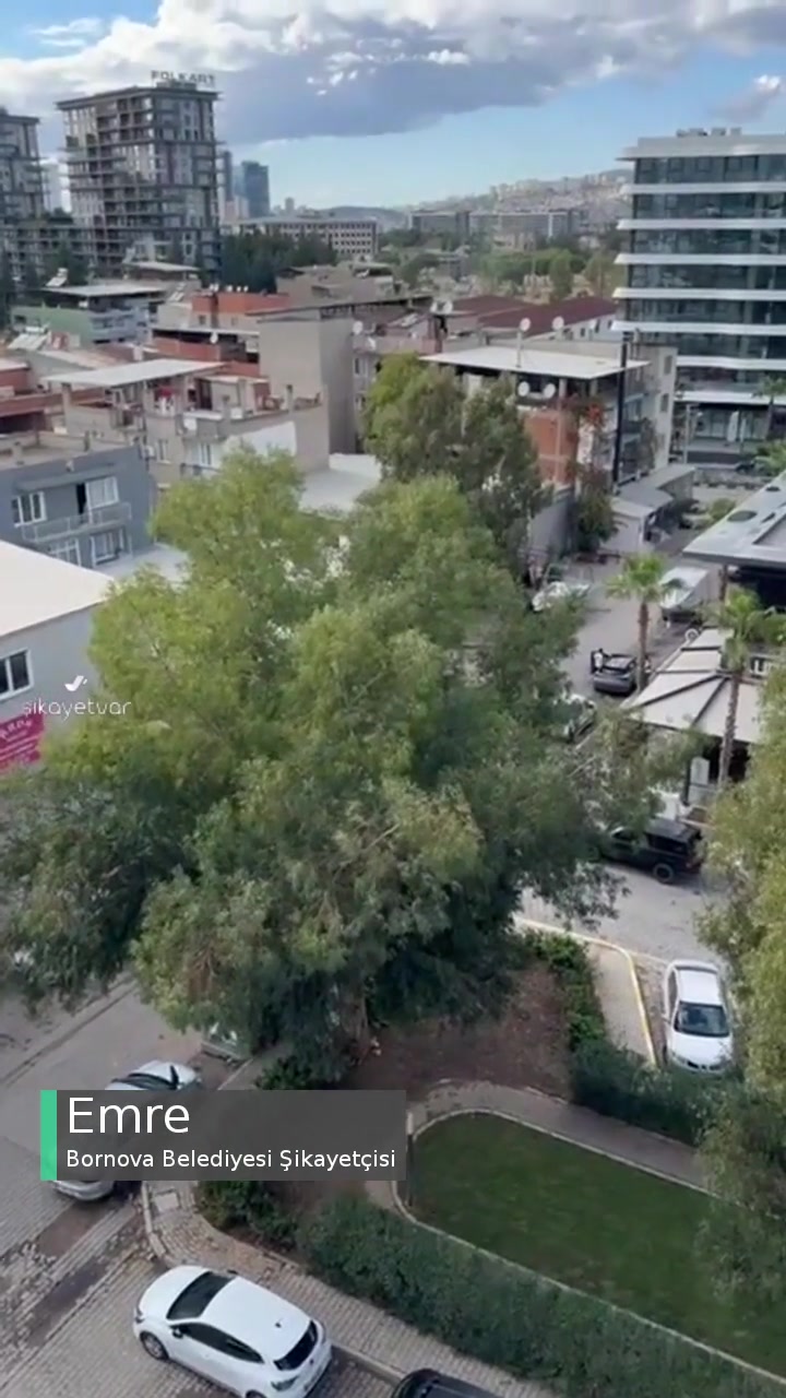 Bornova Belediyesi Tehlike Arz Eden Ağaç Dalları videonun kapak resmi