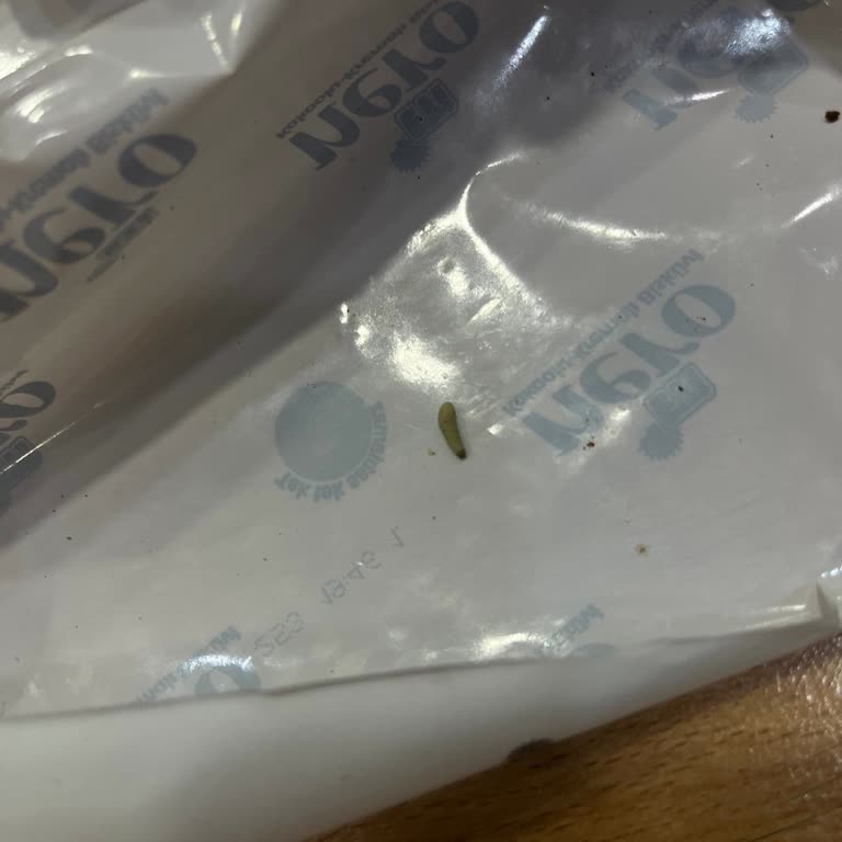 Eti Nero Bisküvisinde Kurt Çıkması Ve Müşteri Hizmetlerinden Dönüş Alamamak