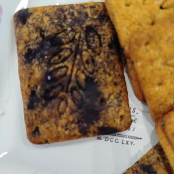 Küflü Bisküvi Şoku: Sağlığımız Tehlikede!