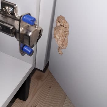 Kusurlu Gardırop Ve Mondi'den Yetersiz Destek Nedeniyle Mağduriyet