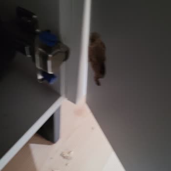 Kusurlu Gardırop Ve Mondi'den Yetersiz Destek Nedeniyle Mağduriyet