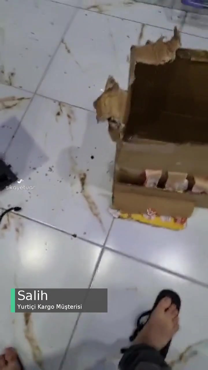 Yurtiçi Kargo Ürünüm İle Futbol Oynamış videonun kapak resmi