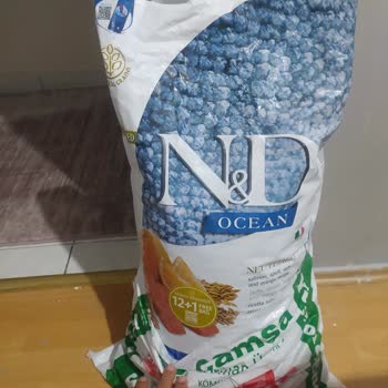 Kedim Yeni Aldığım Mamayı Yemiyor Ve Firmalardan Dönüş Alamıyorum