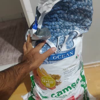 Kedim Yeni Aldığım Mamayı Yemiyor Ve Firmalardan Dönüş Alamıyorum