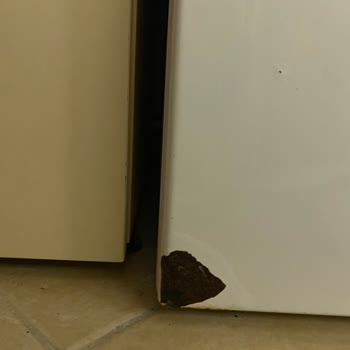 Bosch Çamaşır Makinesinde Garanti Dışı Su Sızıntısı Ve Paslanma Mağduriyeti