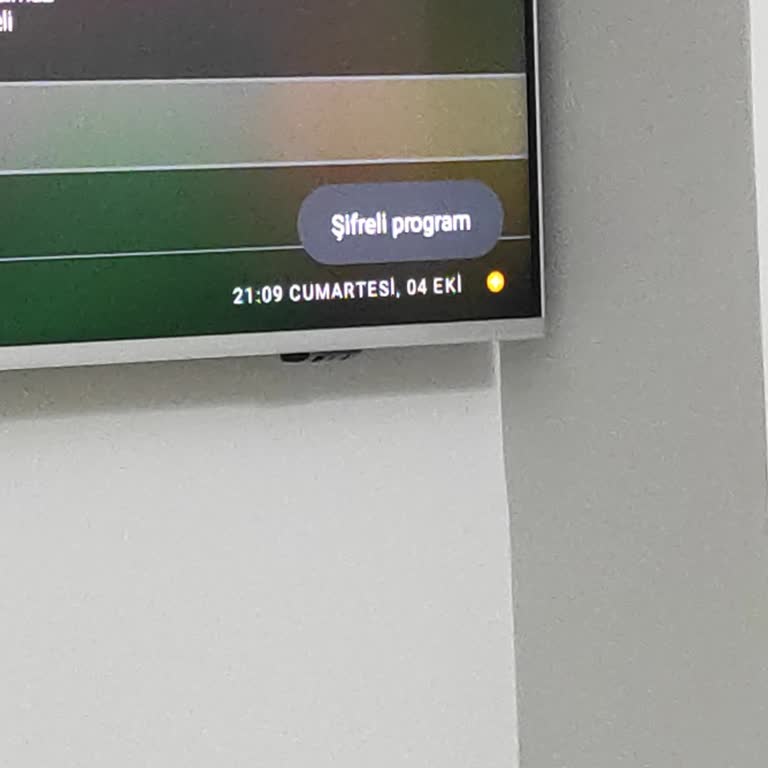 Philips TV'de Sürekli 'Şifreli Program' Uyarısı İzleme Keyfini Bozuyor