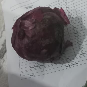 Online Siparişte Gönderilen Çürük Sebzeler Ve Hayal Kırıklığı