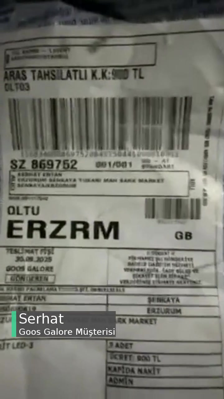 Goos Galore Sahte LED Yollamışlar videonun kapak resmi