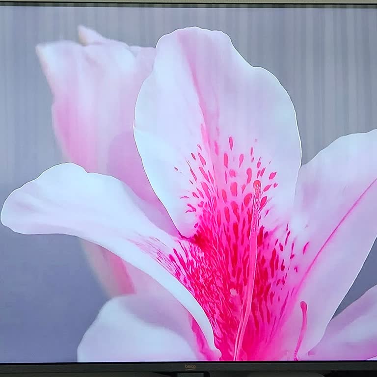 Kurulum Sonrası Ekranda Karartı Ve Yetersiz Servis Kontrolü