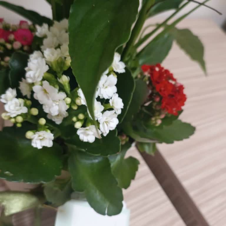 Çiçek Sepeti Eksik Ürün Teslimatı Nedeniyle Mağduriyet Yaşıyorum!