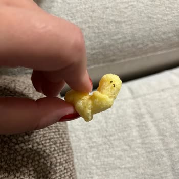 Aldığım Mısır Çerezi Paketinden Karınca Çıktı Hijyen Ve Sağlık Riski Yaşadım