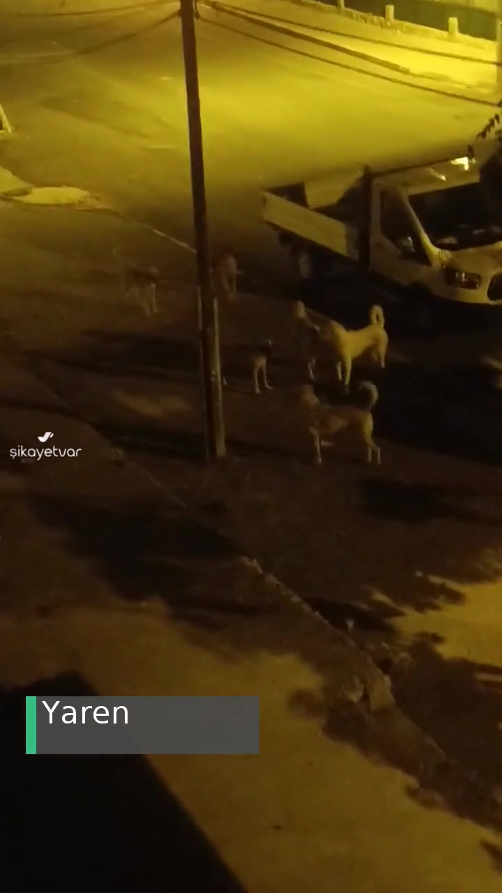 Tarım Ve Orman Bakanlığı Acil Çözüm Bulun! videonun kapak resmi